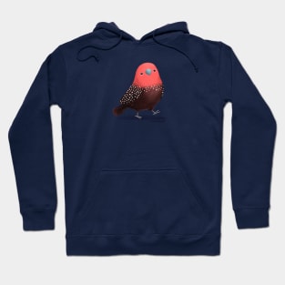 Pink Throated Twinspot Bird Hoodie